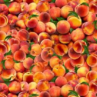 ttFRUIT-CD3907 PEACH